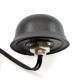 4G LTE/GPS/GLONASS Combo antenna esterna 2dBi, 3m